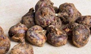 printscreen printscreen